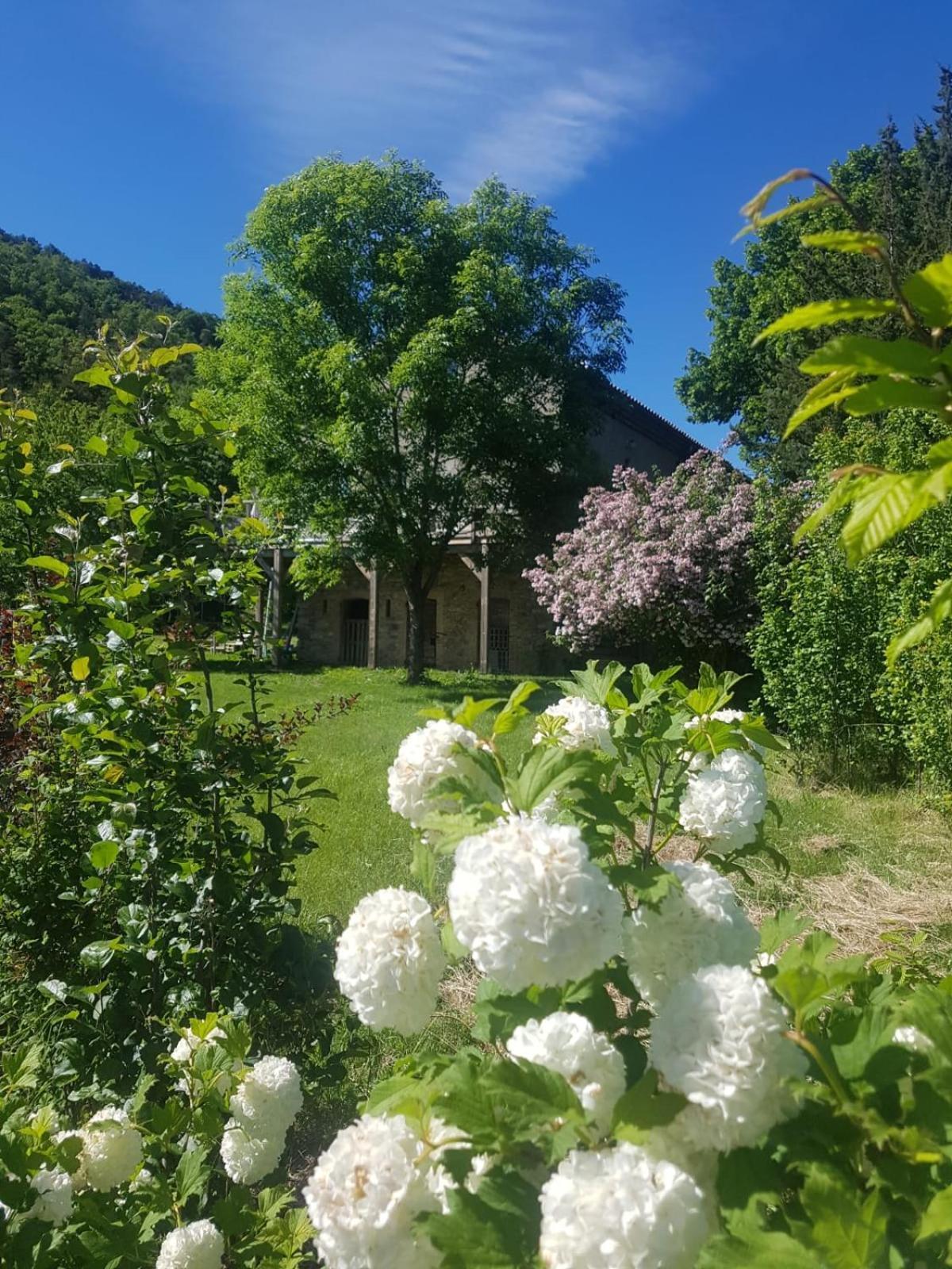 Les Gites Du Saro Chabestan Exterior photo